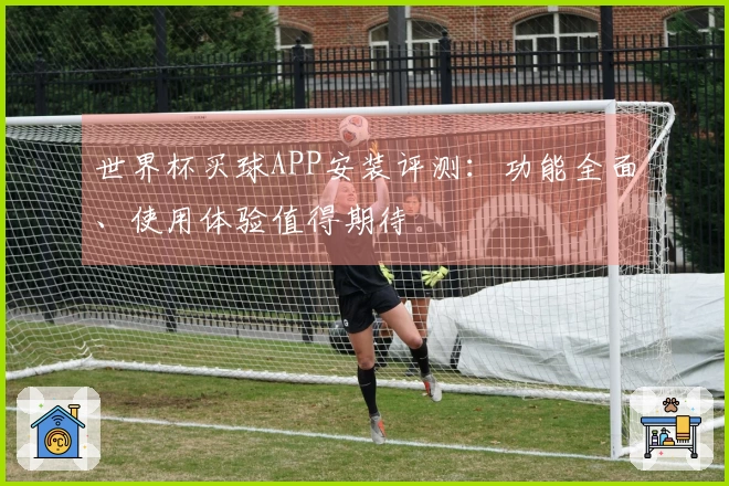 世界杯买球APP安装评测：功能全面、使用体验值得期待