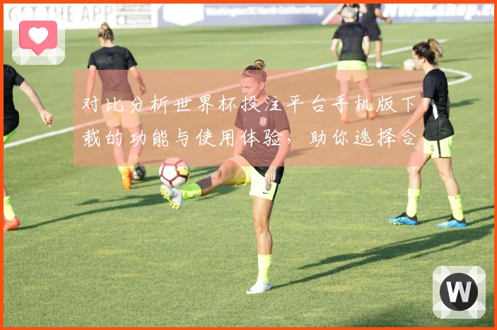 对比分析世界杯投注平台手机版下载的功能与使用体验，助你选择合适的平台